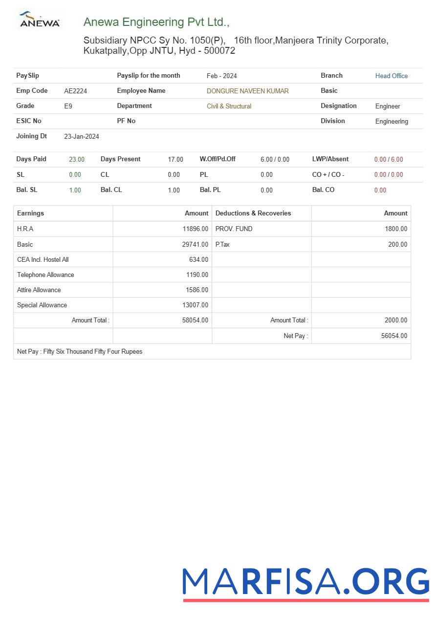 Printable Anewa Engineering payslip example